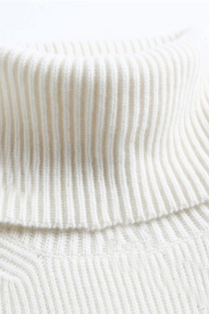 Rib-Knit Turtleneck Sweater