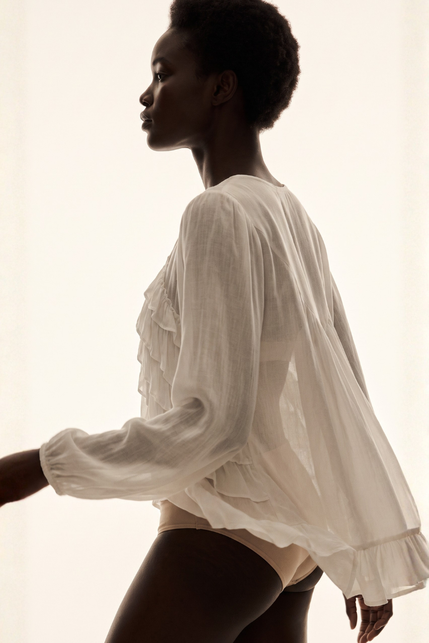 Sheer Chiffon Blouse