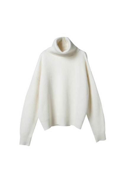 Rib-Knit Turtleneck Sweater