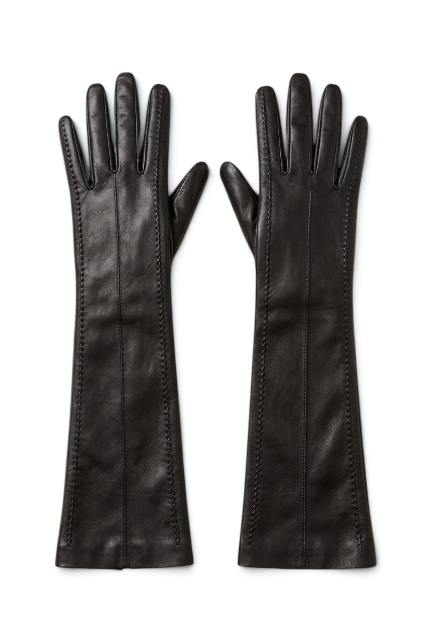 Long Leather Gloves