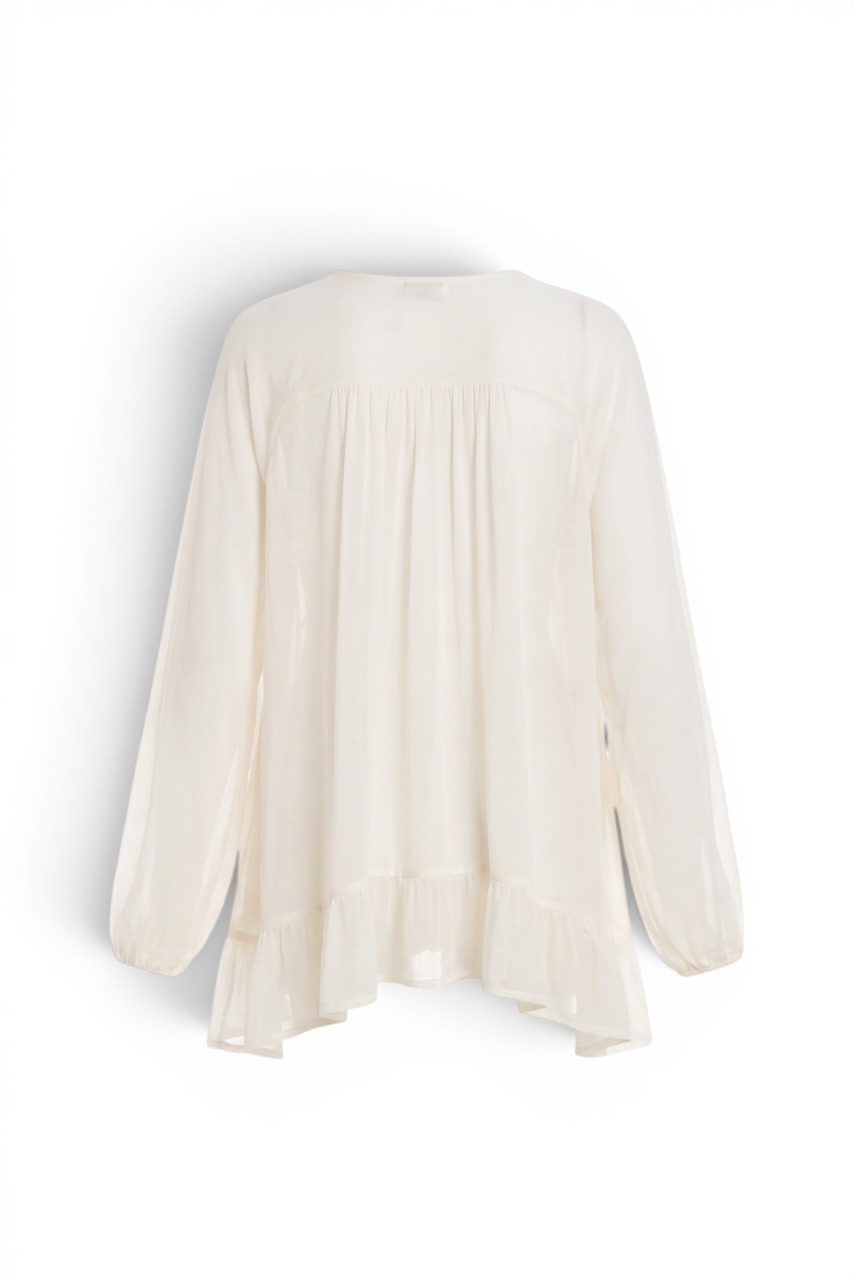 Sheer Chiffon Blouse