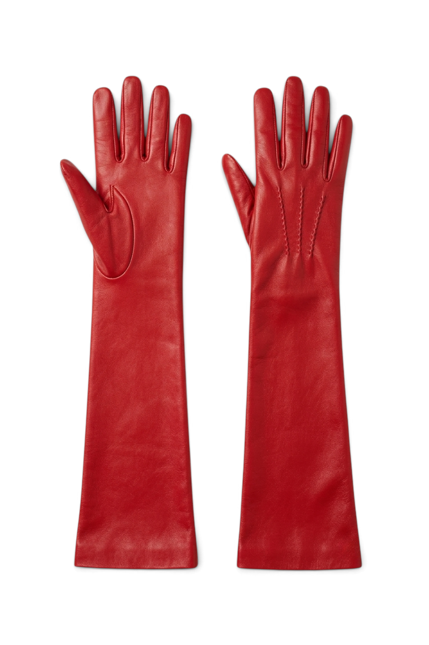Long Leather Gloves